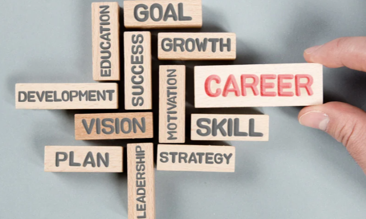 Education, Skills and Competence Frameworks